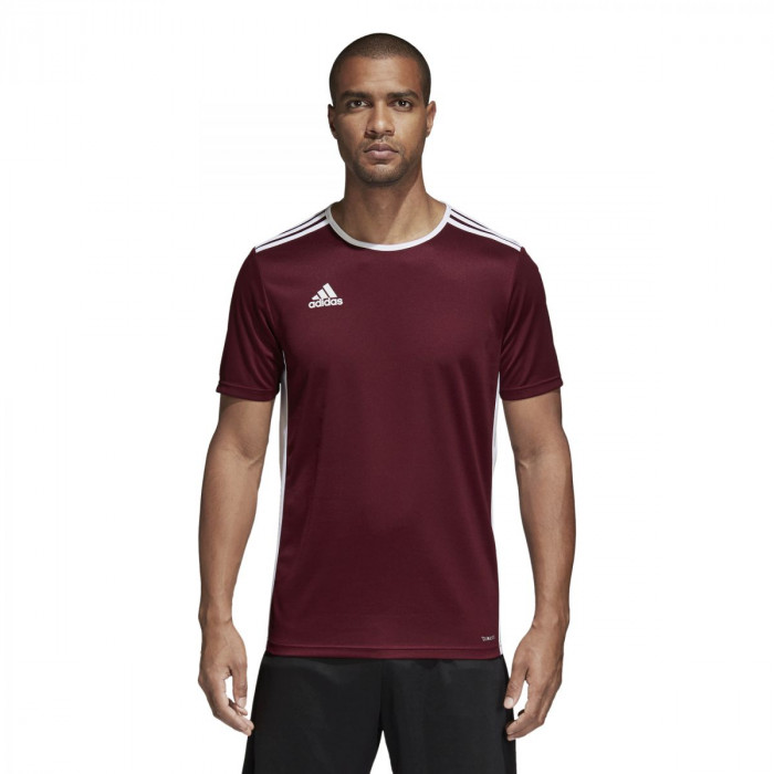 T-shirty i koszulki polo
