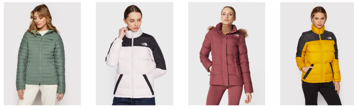 Kurtki damskie The North Face
